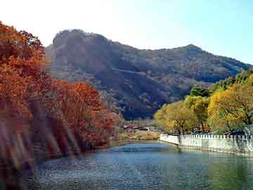 管家婆黑白马报图库，迈锐宝油耗